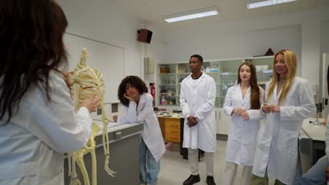 medical students learning about the human skeleton