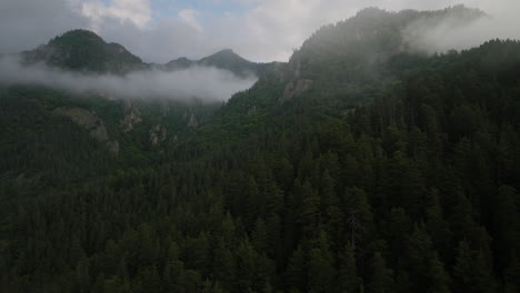 clouds over coniferous forest in borjomi nature reserve, samtskhe-javakheti, georgia