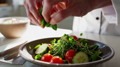 el chef preparando una ensalada fresca