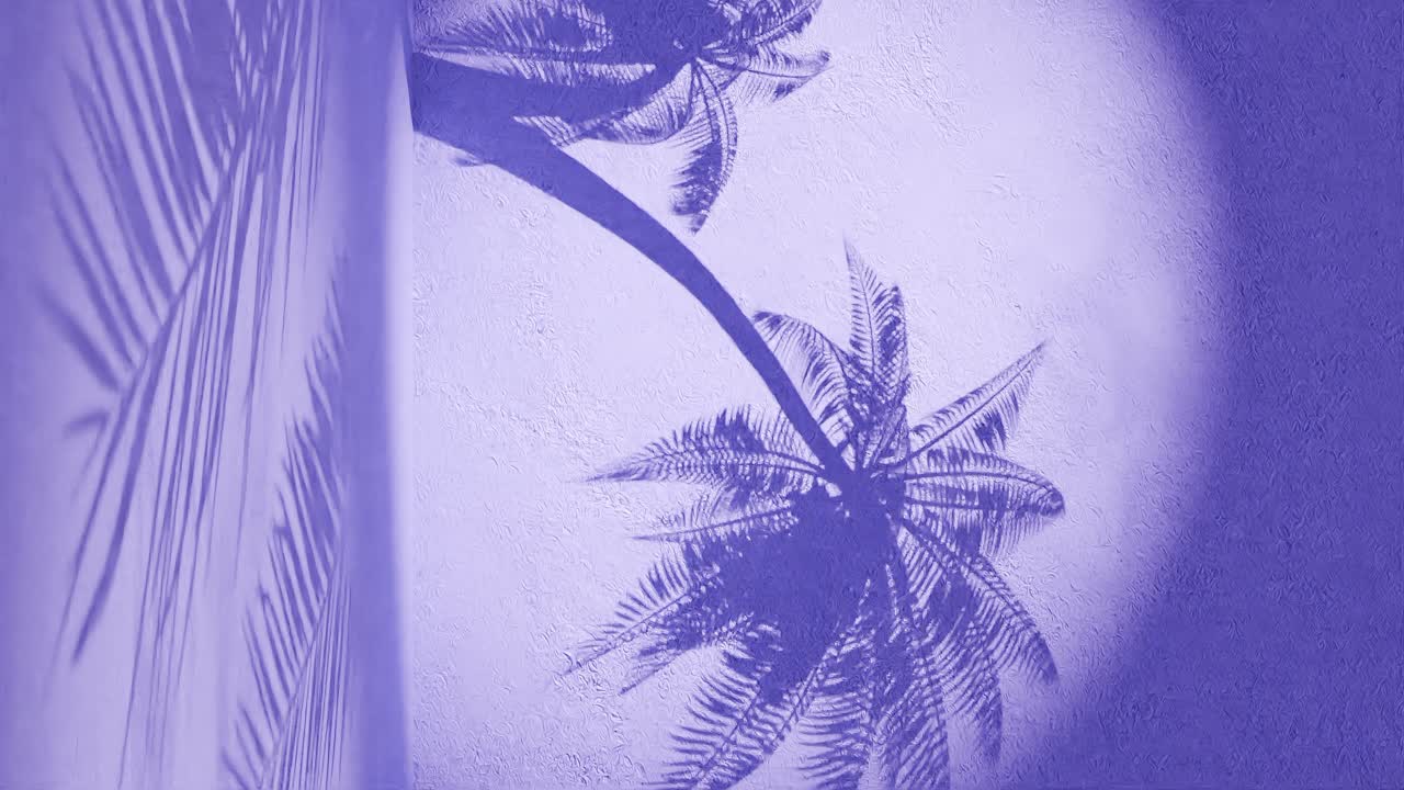 sombras de palmeras en una pared púrpura texturizada