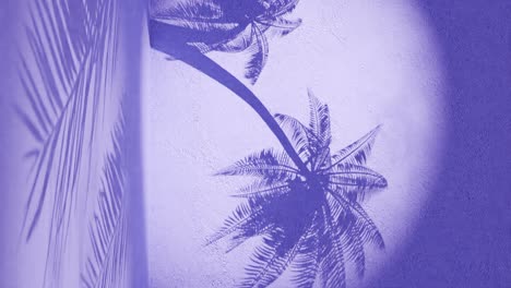 palm tree shadows on a textured purple wall