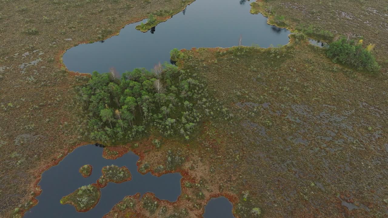 은 가을의 날에 호수와 함께 습지 풍경의 아름다운 공중 조류 시야, 듀니카 토프 습지, 작은 소나무, 넓은 각도 조류 시점 드론