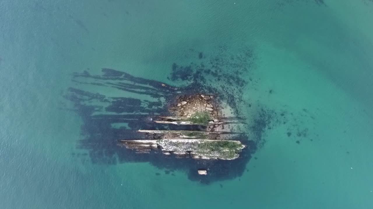 A bird's eye view of the zoological reserve Pedra da Anicha (in the beauty Arrabida Natural Park, Portugal), with many seagulls flying around