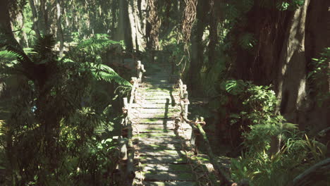 jungle bridge