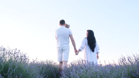 a stylish young family with a child walks on a lavender field enjoy the moments together a stylish young family with a child walks on a lavender field a handsome man holds the hand of a beautiful brunette woman enjoy the moments together meeting the sunset high quality video