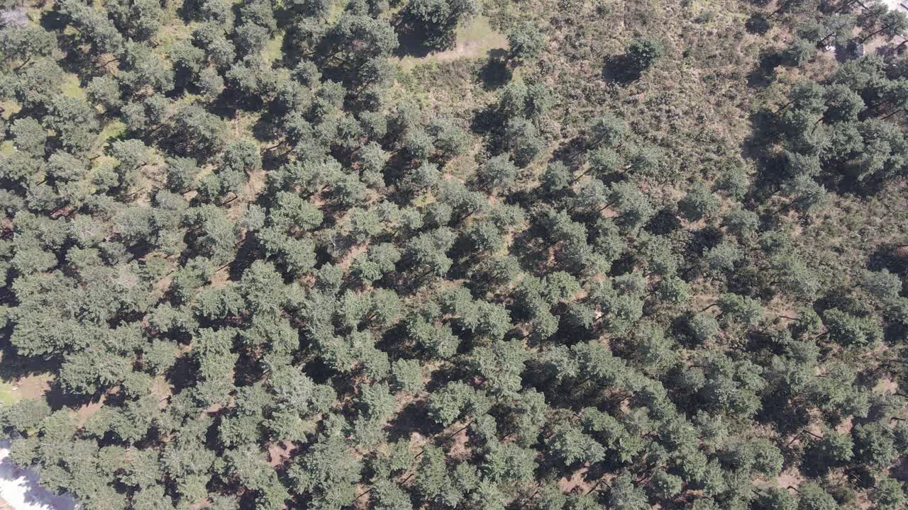 vista aérea urbana y forestal