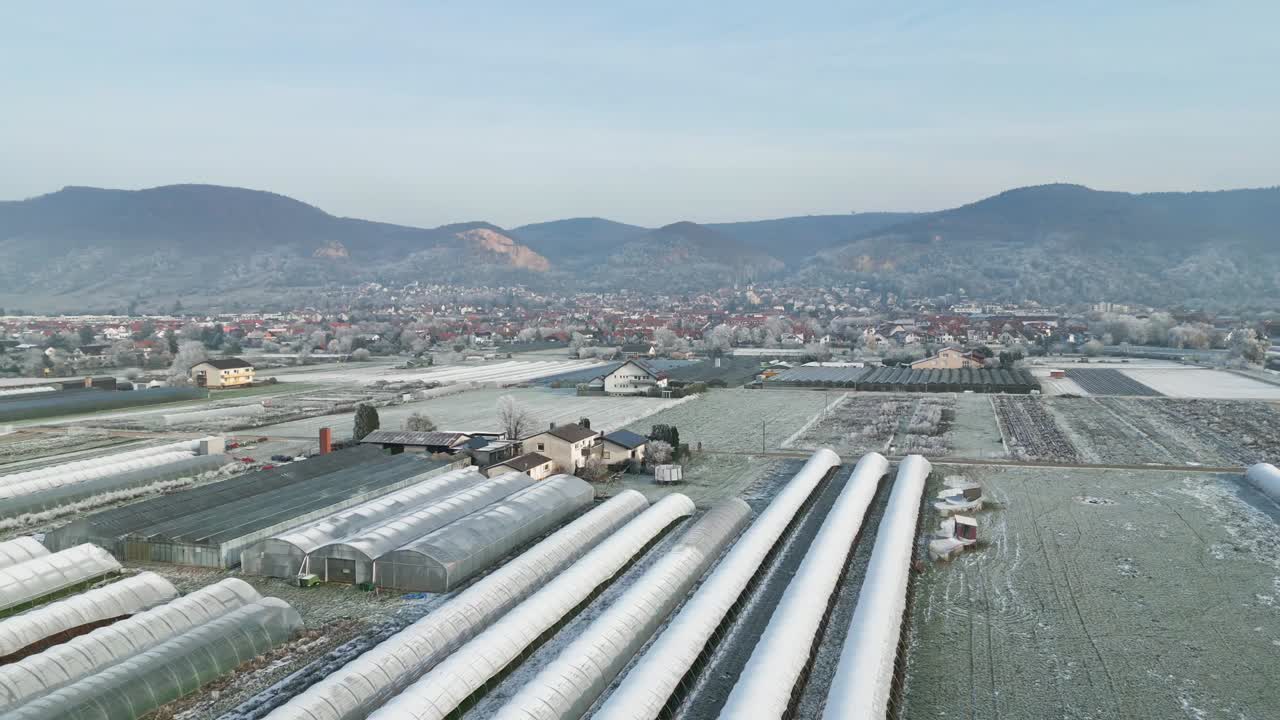 Drone aerial view of a village surrounded by snow-covered fields in winter. Scenic and peaceful, ideal for travel, rural, and seasonal content