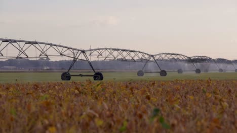 Große-Landwirtschaftliche-Sprinkler-Bewässern-Den-Sonnenaufgang-Am-Frühen-Morgen-Auf-Einem-Kommerziellen-Bauernhof