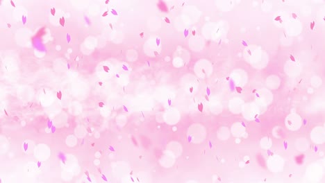 colorful bright petals swinging in spring background with sun flares. beautiful nature scene. illustration cherry blossom petals. abstract spring graphic. loop animation.