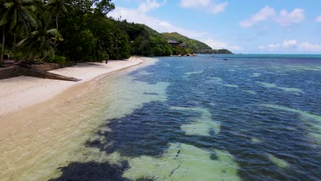 Seychellen-Praslin-Palm-Aerial-Drohne2.mp4