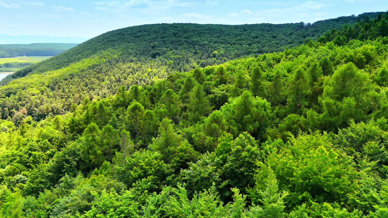 Lush green hills in European landscape. Verdant hills stretch across the landscape under a clear blue sky, showcasing the beauty of nature in Europe