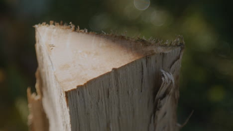 chopping wooden log with an axe