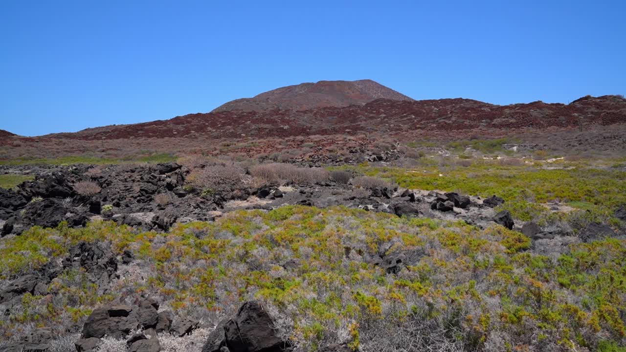 반 사막 해안 생태계와 후면의 화산, isla coronado, loreto, baja california sur