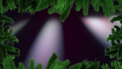 animation of fir tree frame over lights