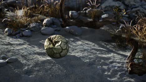 an old torn soccer ball thrown lies on sand of sea beach