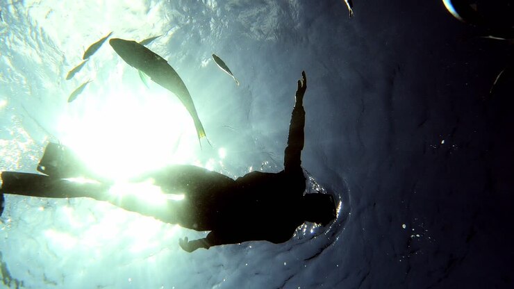 Man Enjoying Snorkeling On The Ocean With Reef Fishes And Against The Bright Sunlight