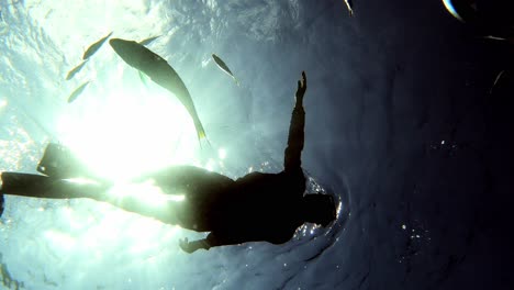 hombre disfrutando del esnórquel en el océano con peces de arrecife y contra la brillante luz del sol