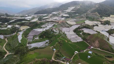 general landscape view of the brinchang district within the cameron highlands area of malaysia