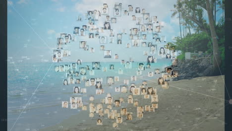Animation of profile pictures forming globe on tropical beach background
