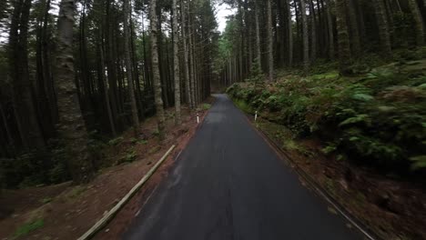 fpv drone footage in the forest in madeira portugal