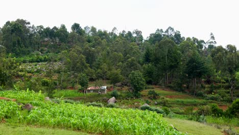 Aldea-Rural-Africana-Y-Granja-Agrícola