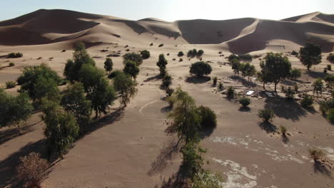 drone perspective of vegetation in desert of morocco