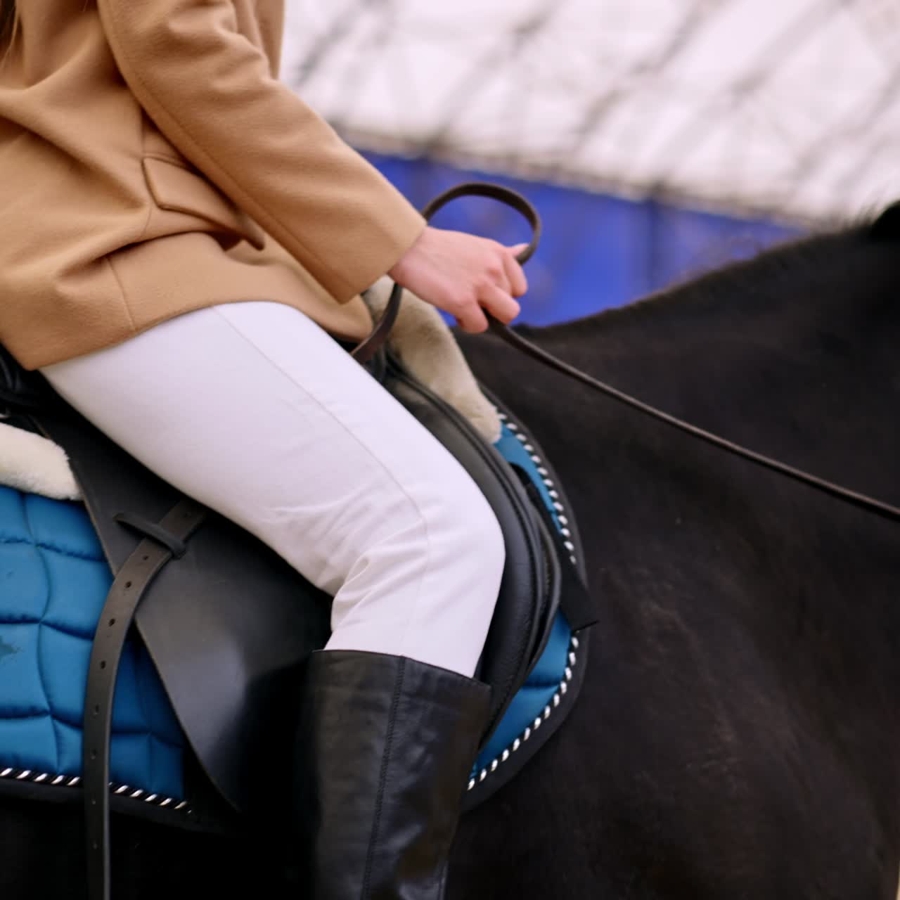 Mid-aged beautiful woman sitting confidently in a saddle on a black horse. Horse riding lessons at manege. Blurred backdrop