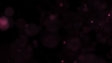 partículas cuánticas púrpuras abstractas flotando dentro y fuera del enfoque movimiento animación de fondo con poca profundidad de enfoque 4k