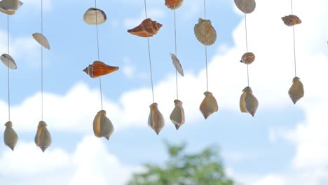 hanging seashells