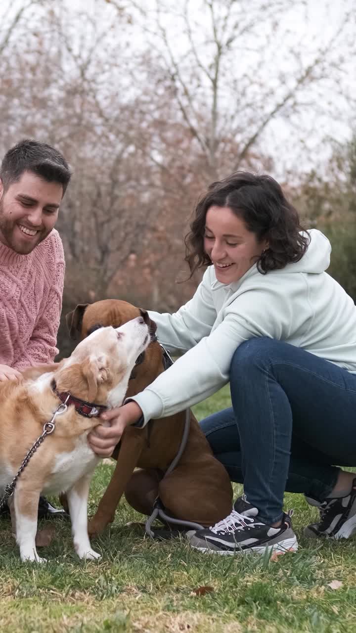 Two of friends meet in the park with their dogs.