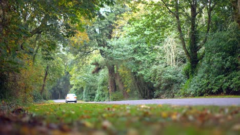 car driving down a road surrounded by forest