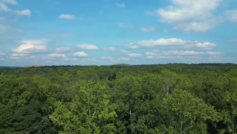 Lush Green Forest Trees Under Bright Blue Sky With Clouds In Georgia, USA. ascending drone shot