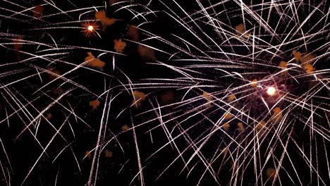 Colorful fireworks exploding in the night sky. Celebrations and events in bright colors.