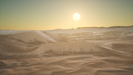 red sand desert dunes at sunset