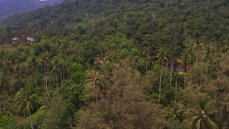 Coastal-palm-tree-jungle-with-solitary-houses-on-Koh-Kood-beach