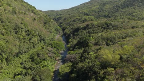 drone flying over the bog walk gorge in jamaica