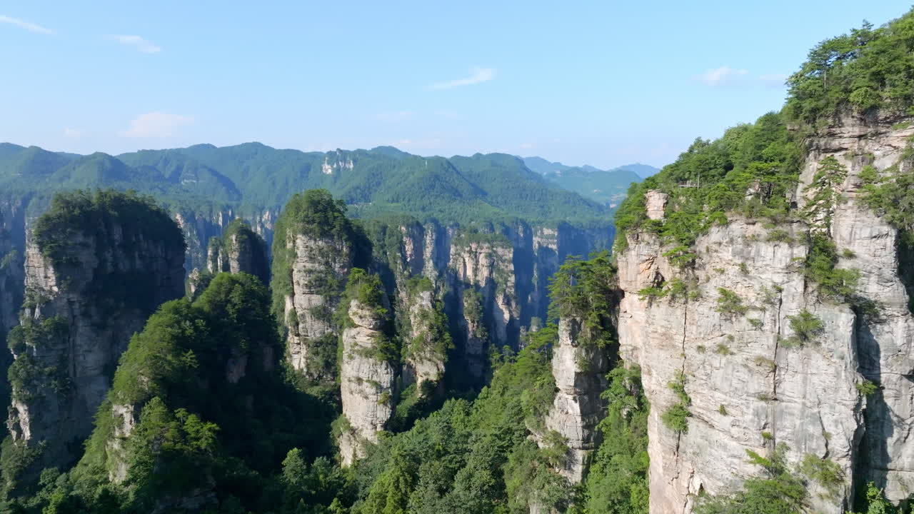 Drone shot over trees, overlooking stone columns of Huangshi, Zhangjiajie, China