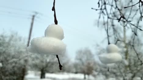 shaped snow ducks sculpture hanging from bare winter tree branches