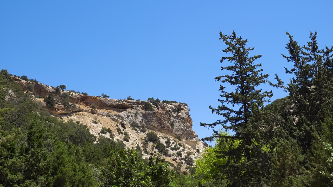 paisaje montañoso con árboles y acantilados