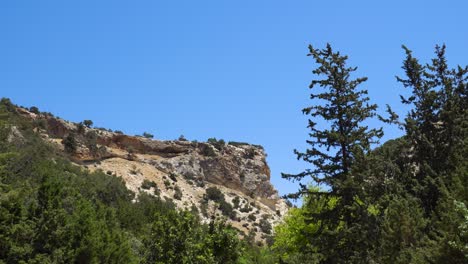 mountainous landscape with trees and cliff