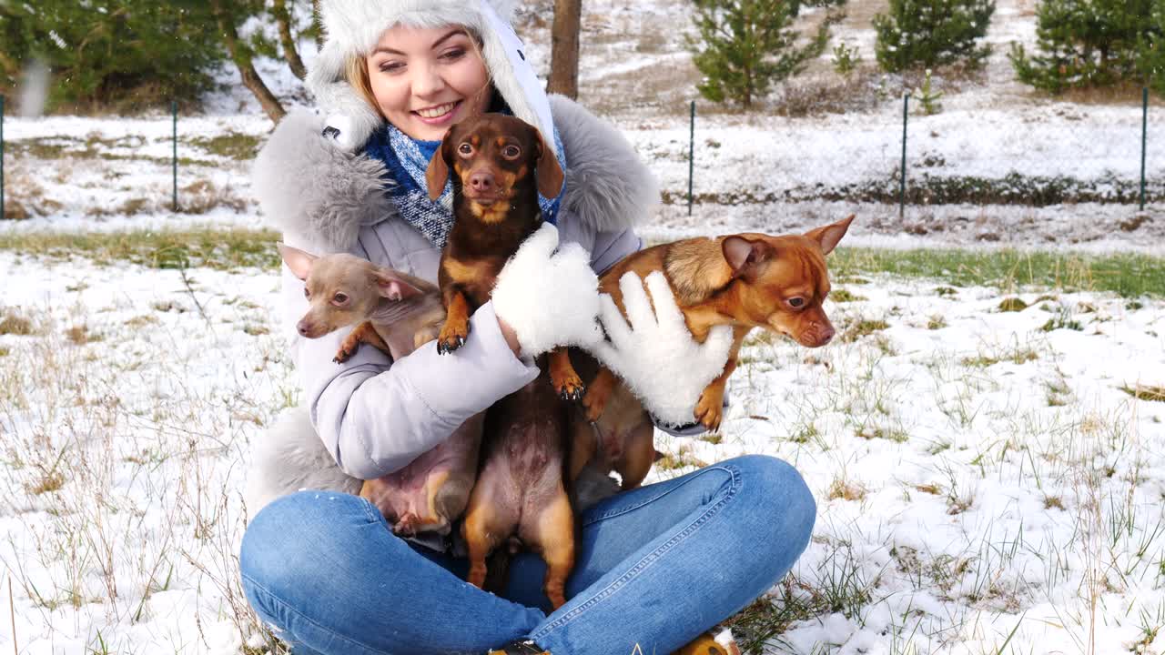 mujer jugando con sus perros pequeños fuera del invierno