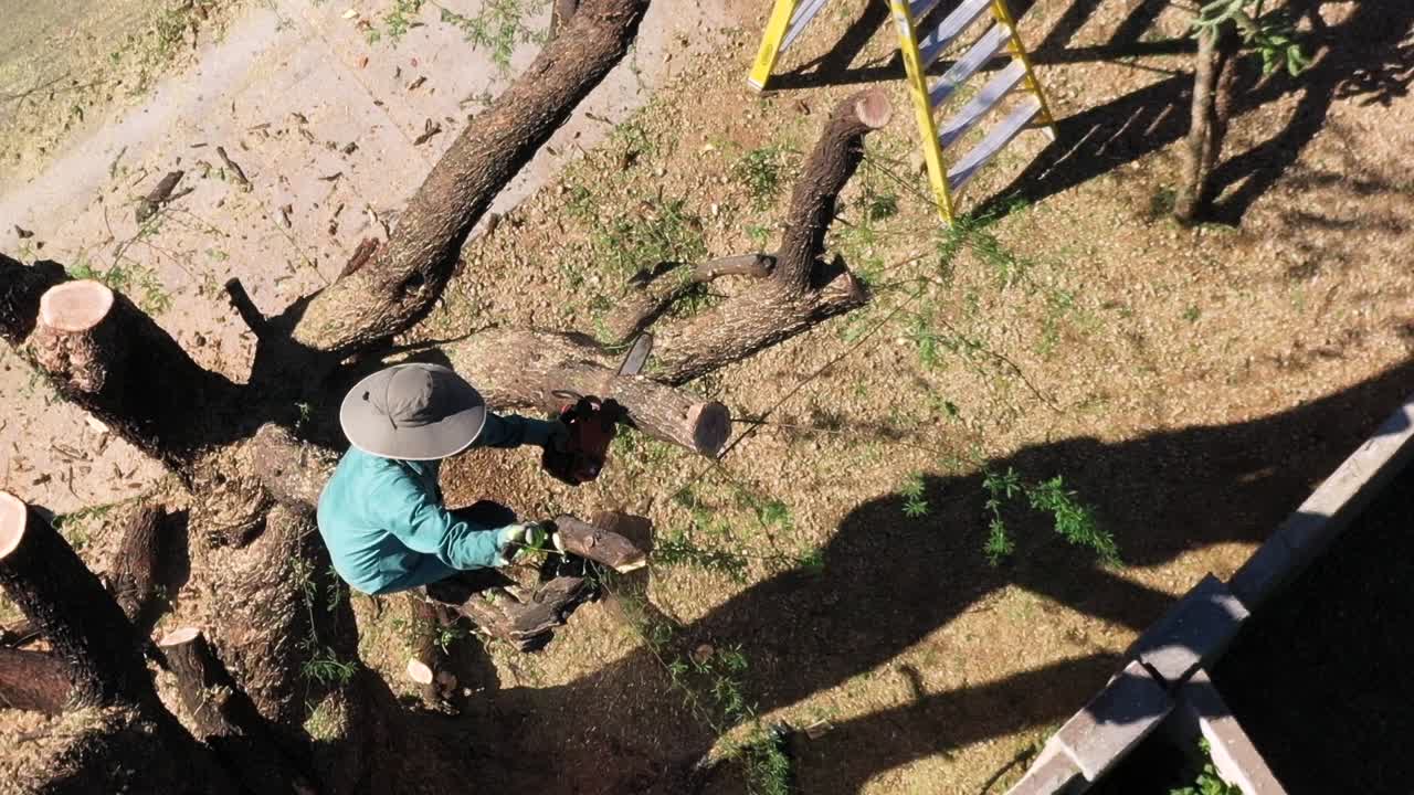 arco de primer plano de drones aéreos alrededor del hombre encaramado en los restos de un árbol de mezquite mientras usa una sierra de cadena para cortar una pieza del camión, scottsdale, arizona