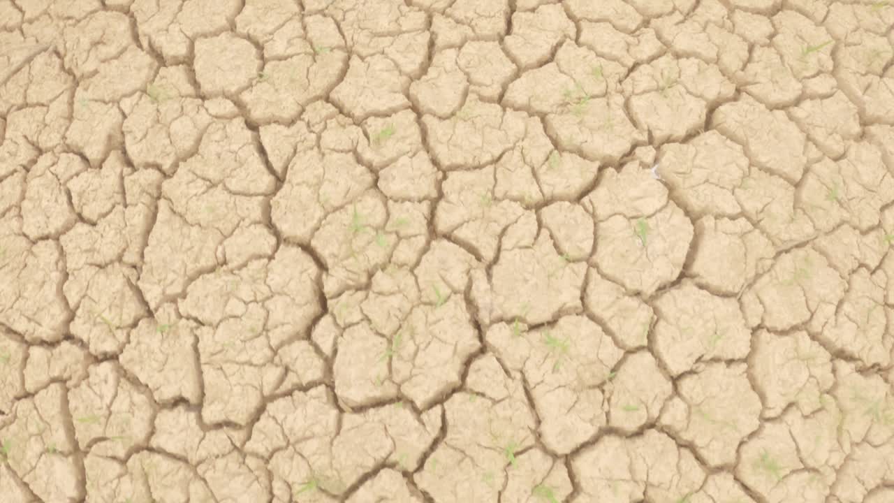 건기 동안 균열이 가득한 토양