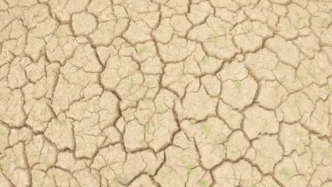 soil full of cracks during dry season