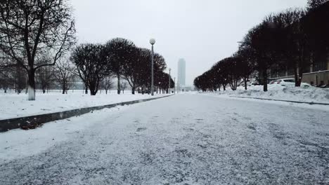 snowy city park