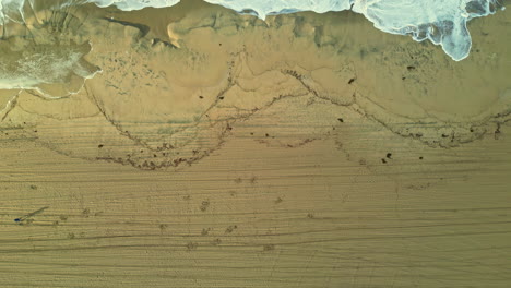 car tracks on wild sandy beach near ocean, aerial top down view