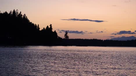 Golden-hour,-silhouette-of-pine-trees-and-glistening-water-during-sunset,-orange-glow,-reflections