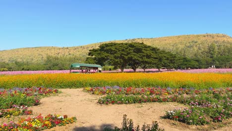 un camión se mueve a través de un vibrante jardín de flores