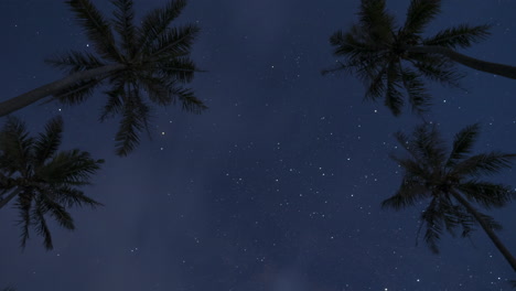 Day-to-night-timelapse-under-palm-trees-revealing-Milky-Way-moving-through-the-dark-sky