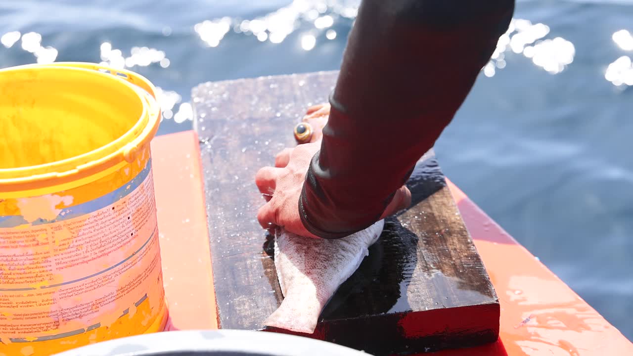 배 갑판 에서 물고기 를 청소 하는 사람